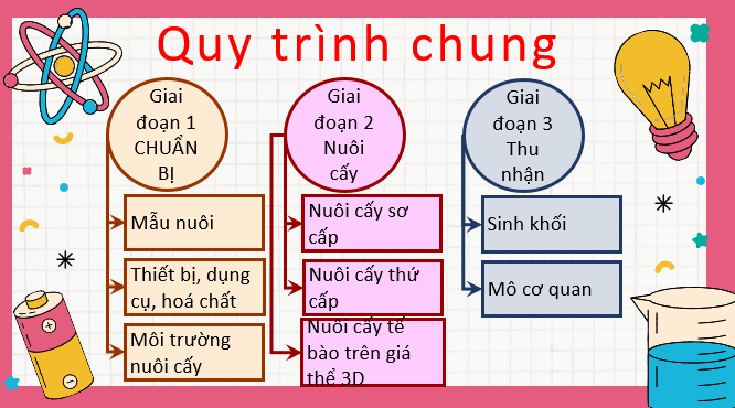 Giáo án điện tử Chuyên đề Sinh 10 Chân trời sáng tạo Bài 3: Công nghệ tế bào động vật và thành tựu | PPT Chuyên đề Sinh học 10