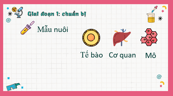 Giáo án điện tử Chuyên đề Sinh 10 Chân trời sáng tạo Bài 3: Công nghệ tế bào động vật và thành tựu | PPT Chuyên đề Sinh học 10