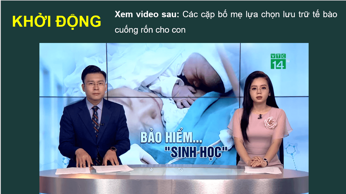 Giáo án điện tử Chuyên đề Sinh 10 Kết nối tri thức Giáo án điện tử Bài 3: Công nghệ tế bào động vật và thành tựu | PPT Chuyên đề Sinh học 10