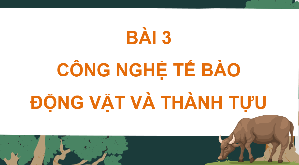 Giáo án điện tử Chuyên đề Sinh 10 Kết nối tri thức Giáo án điện tử Bài 3: Công nghệ tế bào động vật và thành tựu | PPT Chuyên đề Sinh học 10