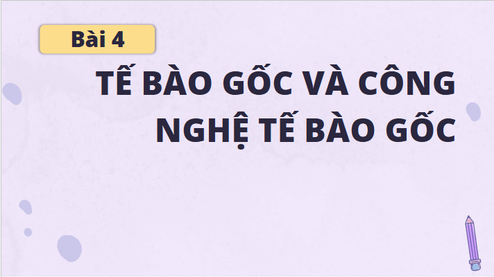 Giáo án điện tử Chuyên đề Sinh 10 Chân trời sáng tạo Bài 4: Tế bào gốc và công nghệ tế bào gốc | PPT Chuyên đề Sinh học 10
