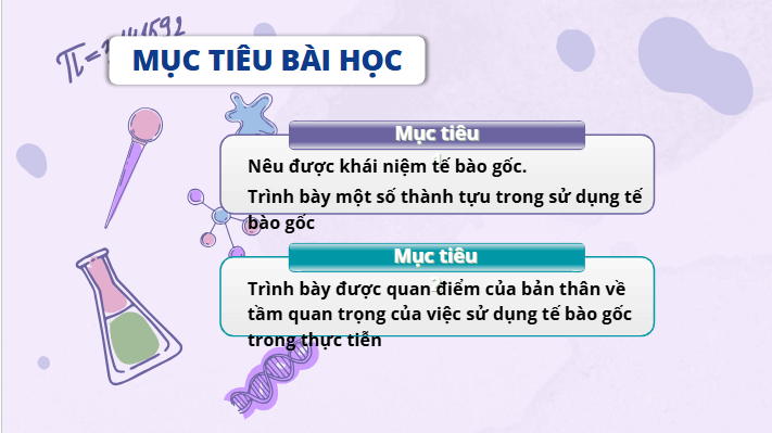 Giáo án điện tử Chuyên đề Sinh 10 Chân trời sáng tạo Bài 4: Tế bào gốc và công nghệ tế bào gốc | PPT Chuyên đề Sinh học 10