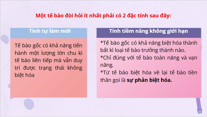 Giáo án điện tử Chuyên đề Sinh 10 Chân trời sáng tạo Bài 4: Tế bào gốc và công nghệ tế bào gốc | PPT Chuyên đề Sinh học 10