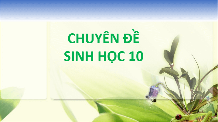 Giáo án điện tử Chuyên đề Sinh 10 Chân trời sáng tạo Bài 5: Dự án: Tìm hiểu về một số thành tựu của công nghệ tế bào | PPT Chuyên đề Sinh học 10