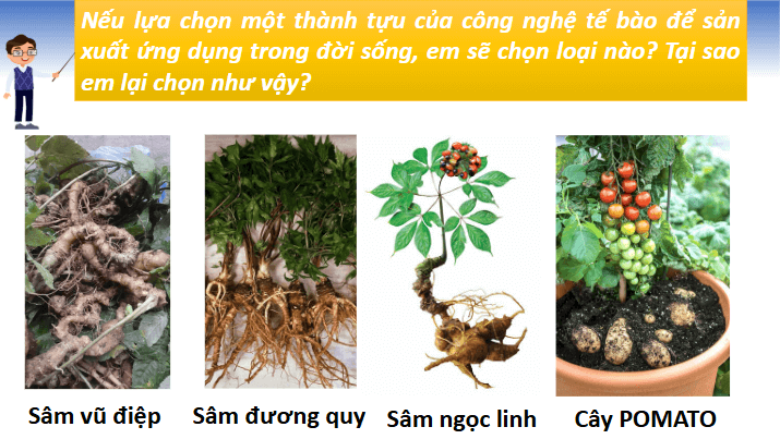 Giáo án điện tử Chuyên đề Sinh 10 Chân trời sáng tạo Bài 5: Dự án: Tìm hiểu về một số thành tựu của công nghệ tế bào | PPT Chuyên đề Sinh học 10