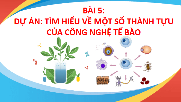 Giáo án điện tử Chuyên đề Sinh 10 Chân trời sáng tạo Bài 5: Dự án: Tìm hiểu về một số thành tựu của công nghệ tế bào | PPT Chuyên đề Sinh học 10