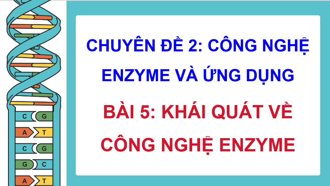 Giáo án điện tử Chuyên đề Sinh 10 Kết nối tri thức Giáo án điện tử Bài 5: Khái quát về công nghệ enzyme | PPT Chuyên đề Sinh học 10