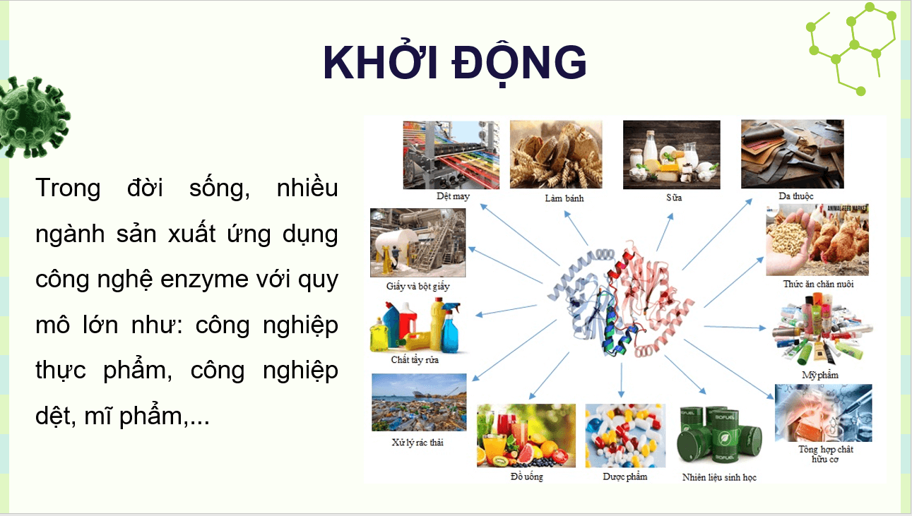Giáo án điện tử Chuyên đề Sinh 10 Kết nối tri thức Giáo án điện tử Bài 6: Quy trình công nghệ sản xuất enzyme | PPT Chuyên đề Sinh học 10