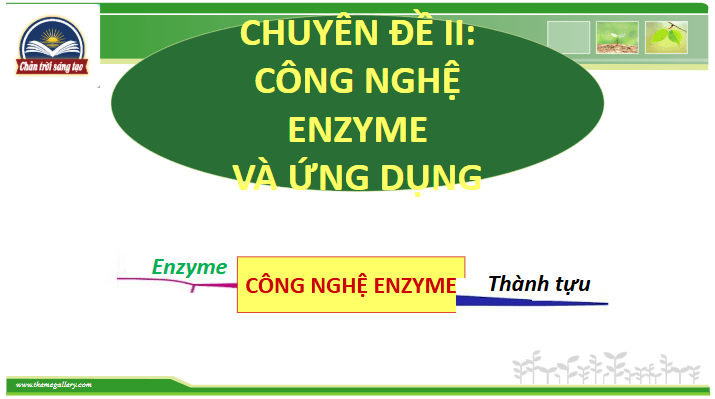 Giáo án điện tử Chuyên đề Sinh 10 Chân trời sáng tạo Bài 6: Thành tựu của công nghệ enzyme | PPT Chuyên đề Sinh học 10