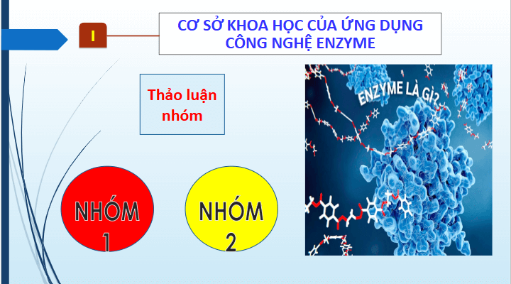 Giáo án điện tử Chuyên đề Sinh 10 Chân trời sáng tạo Bài 7: Quy trình công nghệ sản xuất enzyme | PPT Chuyên đề Sinh học 10