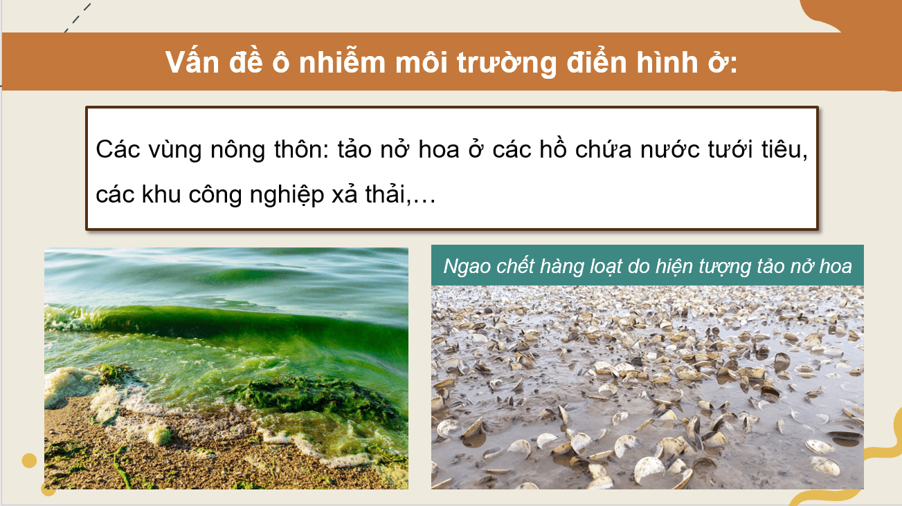 Giáo án điện tử Chuyên đề Sinh 10 Kết nối tri thức Giáo án điện tử Bài 9: Vai trò của vi sinh vật trong xử lý ô nhiễm môi trường | PPT Chuyên đề Sinh học 10