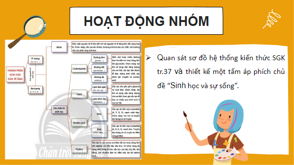 Giáo án điện tử Sinh 10 Chân trời sáng tạo Ôn tập Chương 1 | PPT Sinh học 10