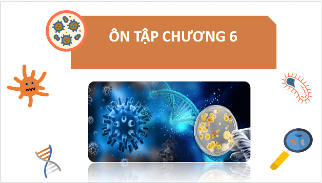 Giáo án điện tử Sinh 10 Chân trời sáng tạo Ôn tập chương 6 | PPT Sinh học 10