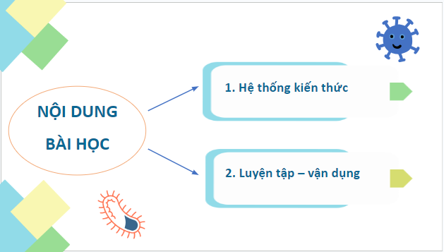 Giáo án điện tử Sinh 10 Chân trời sáng tạo Ôn tập chương 6 | PPT Sinh học 10