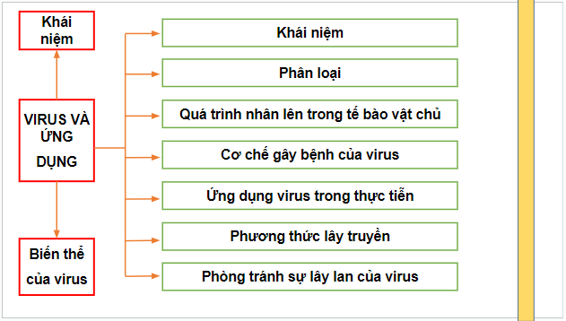 Giáo án điện tử Sinh 10 Chân trời sáng tạo Ôn tập chương 6 | PPT Sinh học 10