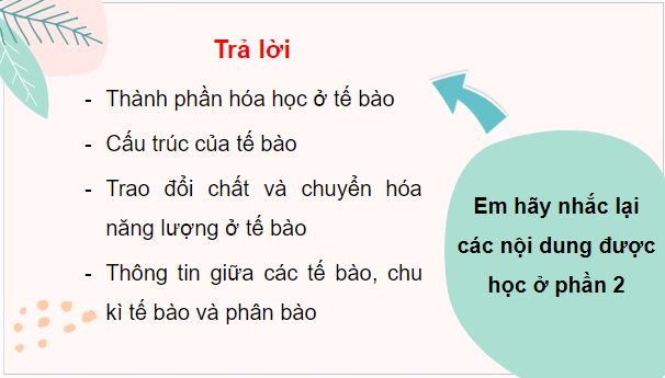 Giáo án điện tử Sinh 10 Cánh diều Ôn tập Phần 2 (trang 101) | PPT Sinh học 10