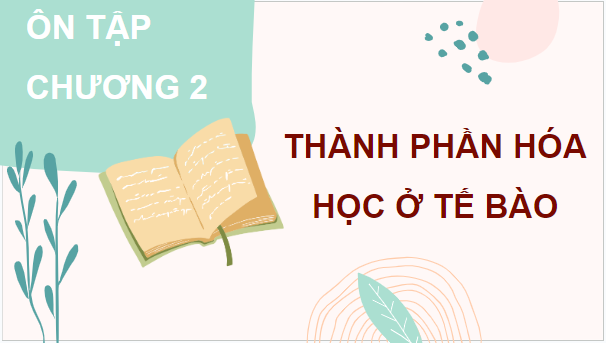 Giáo án điện tử Sinh 10 Cánh diều Ôn tập Phần 2 (trang 101) | PPT Sinh học 10