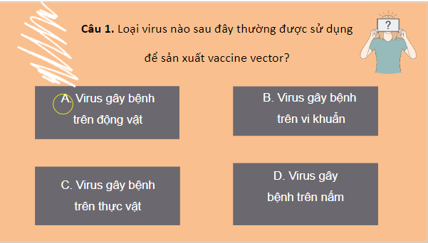 Giáo án điện tử Sinh 10 Cánh diều Ôn tập Phần 3 (trang 143, 144) | PPT Sinh học 10