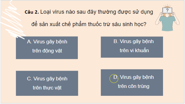 Giáo án điện tử Sinh 10 Cánh diều Ôn tập Phần 3 (trang 143, 144) | PPT Sinh học 10