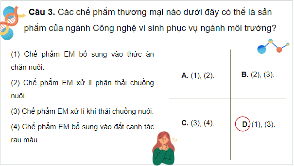 Giáo án điện tử Sinh 10 Cánh diều Ôn tập Phần 3 (trang 143, 144) | PPT Sinh học 10