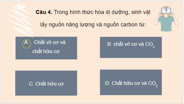 Giáo án điện tử Sinh 10 Cánh diều Ôn tập Phần 3 (trang 143, 144) | PPT Sinh học 10