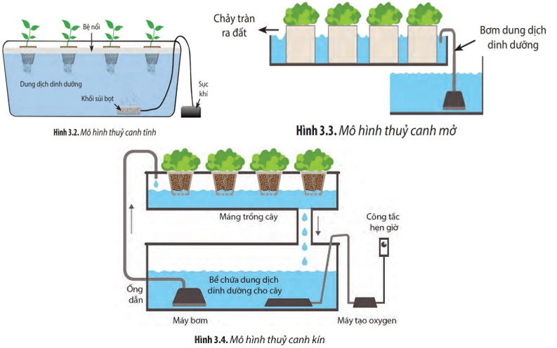 Giáo án Chuyên đề Sinh học 11 Chân trời sáng tạo Bài 3: Thuỷ canh theo hướng phát triển nông nghiệp sạch
