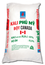 Giáo án Chuyên đề Sinh học 11 Kết nối tri thức Bài 4: Thực hành: Thí nghiệm chứng minh tác dụng của loại phân bón, cách bón và hàm lượng phân bón đối với cây trồng