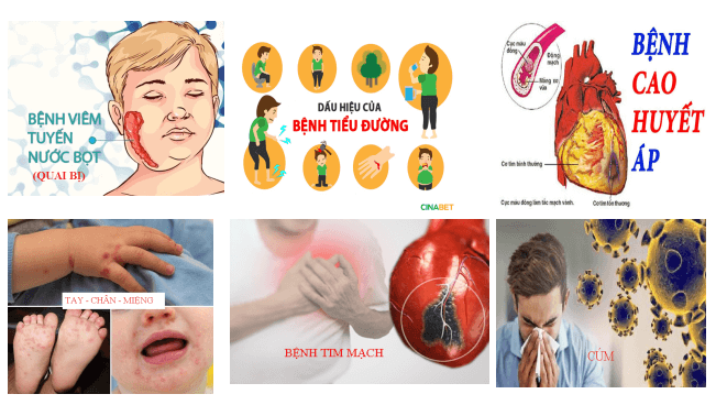 Giáo án Chuyên đề Sinh học 11 Chân trời sáng tạo Bài 6: Một số bệnh dịch phổ biến ở người