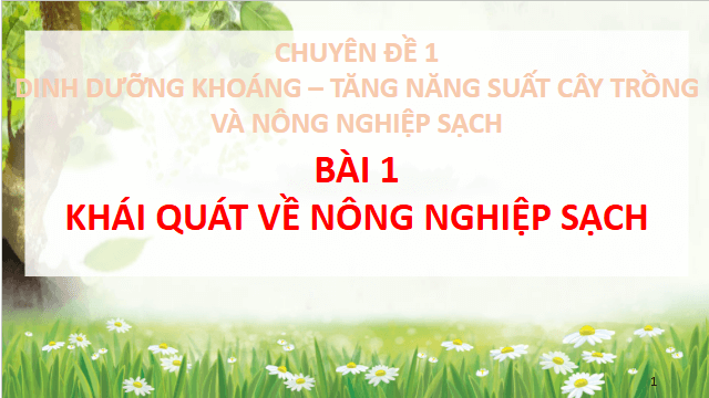 Giáo án điện tử Chuyên đề Sinh 11 Chân trời sáng tạo Bài 1: Khái quát về nông nghiệp sạch | PPT Chuyên đề Sinh học 11
