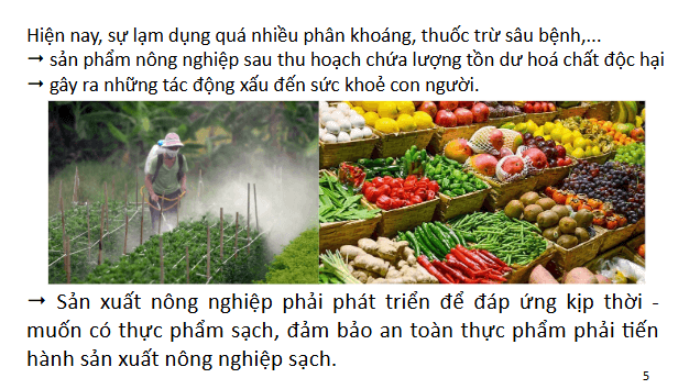 Giáo án điện tử Chuyên đề Sinh 11 Chân trời sáng tạo Bài 1: Khái quát về nông nghiệp sạch | PPT Chuyên đề Sinh học 11