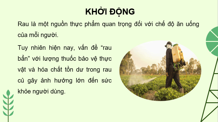 Giáo án điện tử Chuyên đề Sinh 11 Kết nối tri thức Bài 1: Nguyên tắc và các biện pháp kĩ thuật sử dụng dinh dưỡng khoáng trong nền nông nghiệp sạch | PPT Chuyên đề Sinh học 11