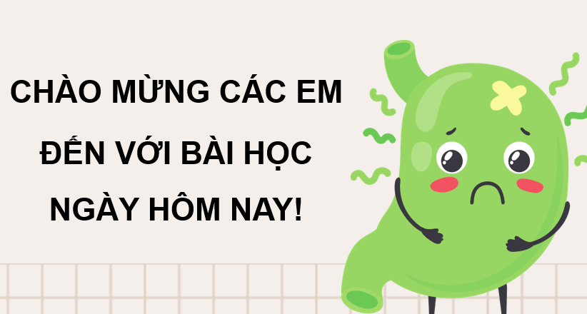 Giáo án điện tử Chuyên đề Sinh 11 Kết nối tri thức Bài 10: Ngộ độc thực phẩm | PPT Chuyên đề Sinh học 11