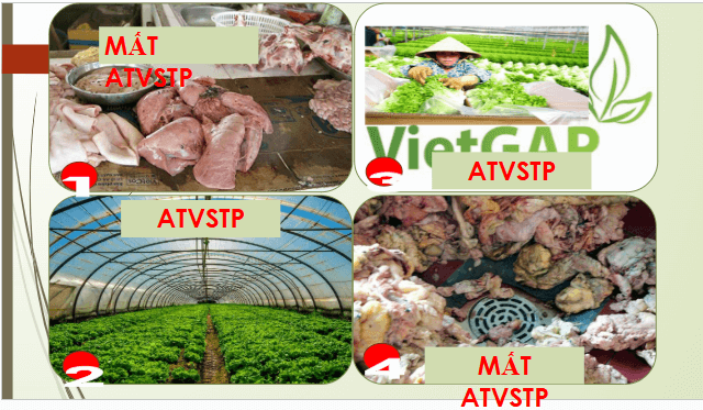 Giáo án điện tử Chuyên đề Sinh 11 Chân trời sáng tạo Bài 11: Ngộ độc thực phẩm | PPT Chuyên đề Sinh học 11