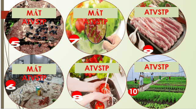 Giáo án điện tử Chuyên đề Sinh 11 Chân trời sáng tạo Bài 11: Ngộ độc thực phẩm | PPT Chuyên đề Sinh học 11