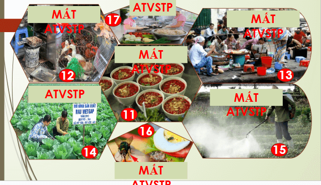 Giáo án điện tử Chuyên đề Sinh 11 Chân trời sáng tạo Bài 11: Ngộ độc thực phẩm | PPT Chuyên đề Sinh học 11