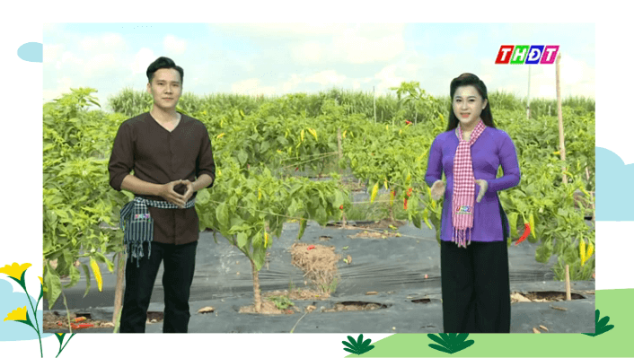 Giáo án điện tử Chuyên đề Sinh 11 Chân trời sáng tạo Bài 2: Biện pháp kĩ thuật sử dụng dinh dưỡng khoáng để tăng năng suất cây trồng và tạo nền nông nghiệp sạch | PPT Chuyên đề Sinh học 11