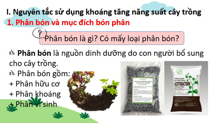 Giáo án điện tử Chuyên đề Sinh 11 Chân trời sáng tạo Bài 2: Biện pháp kĩ thuật sử dụng dinh dưỡng khoáng để tăng năng suất cây trồng và tạo nền nông nghiệp sạch | PPT Chuyên đề Sinh học 11