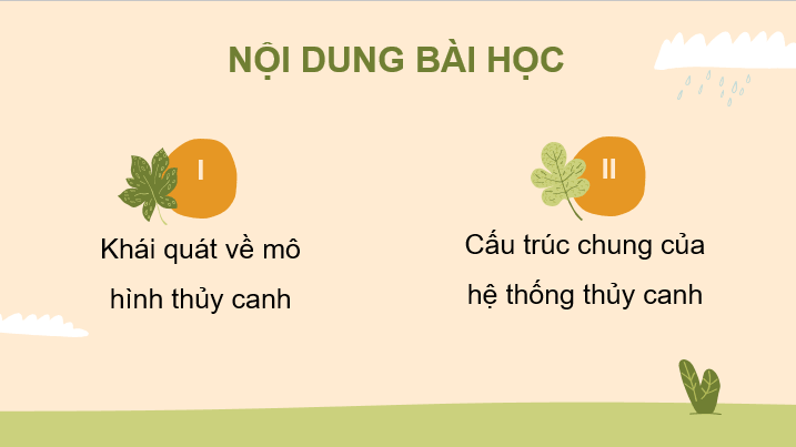 Giáo án điện tử Chuyên đề Sinh 11 Kết nối tri thức Bài 2: Mô hình thủy canh theo hướng phát triển nông nghiệp sạch | PPT Chuyên đề Sinh học 11