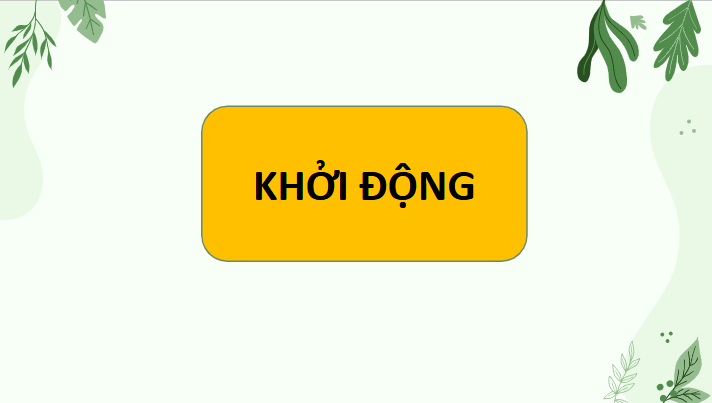 Giáo án điện tử Chuyên đề Sinh 11 Chân trời sáng tạo Bài 3: Thuỷ canh theo hướng phát triển nông nghiệp sạch | PPT Chuyên đề Sinh học 11