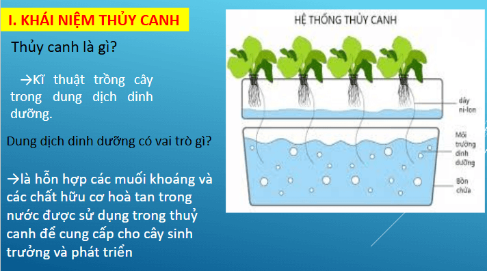 Giáo án điện tử Chuyên đề Sinh 11 Chân trời sáng tạo Bài 3: Thuỷ canh theo hướng phát triển nông nghiệp sạch | PPT Chuyên đề Sinh học 11