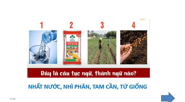 Giáo án điện tử Chuyên đề Sinh 11 Chân trời sáng tạo Bài 4: Thực hành: Chứng minh tác dụng của phân bón đối với sinh trưởng, phát triển và năng suất cây trồng | PPT Chuyên đề Sinh học 11