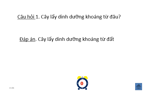 Giáo án điện tử Chuyên đề Sinh 11 Chân trời sáng tạo Bài 4: Thực hành: Chứng minh tác dụng của phân bón đối với sinh trưởng, phát triển và năng suất cây trồng | PPT Chuyên đề Sinh học 11