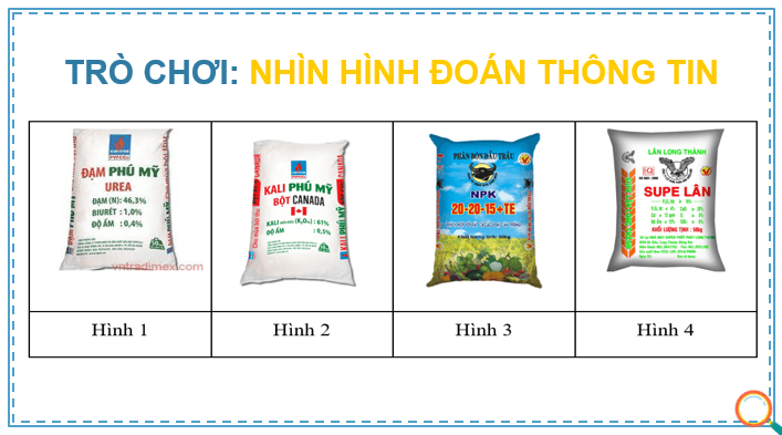 Giáo án điện tử Chuyên đề Sinh 11 Kết nối tri thức Bài 4: Thực hành: Thí nghiệm chứng minh tác dụng của loại phân bón, cách bón và hàm lượng phân bón đối với cây trồng | PPT Chuyên đề Sinh học 11