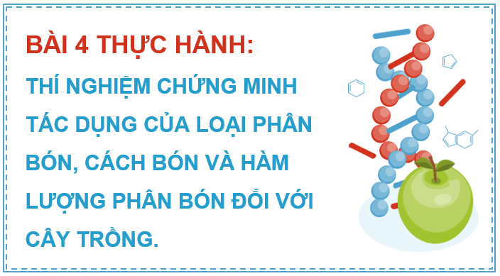 Giáo án điện tử Chuyên đề Sinh 11 Kết nối tri thức Bài 4: Thực hành: Thí nghiệm chứng minh tác dụng của loại phân bón, cách bón và hàm lượng phân bón đối với cây trồng | PPT Chuyên đề Sinh học 11