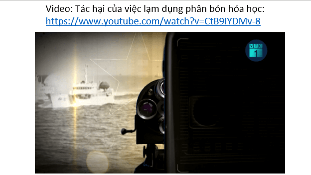 Giáo án điện tử Chuyên đề Sinh 11 Chân trời sáng tạo Bài 5: Dự án: Điều tra sử dụng phân bón ở địa phương hoặc thực hành: Trồng cây với các kĩ thuật bón phân phù hợp | PPT Chuyên đề Sinh học 11