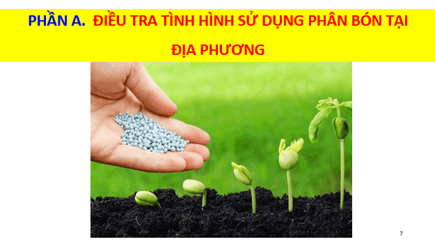 Giáo án điện tử Chuyên đề Sinh 11 Chân trời sáng tạo Bài 5: Dự án: Điều tra sử dụng phân bón ở địa phương hoặc thực hành: Trồng cây với các kĩ thuật bón phân phù hợp | PPT Chuyên đề Sinh học 11