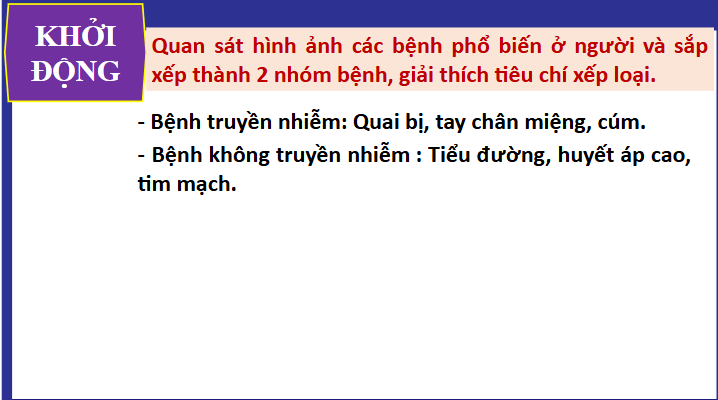 Giáo án điện tử Chuyên đề Sinh 11 Chân trời sáng tạo Bài 6: Một số bệnh dịch phổ biến ở người | PPT Chuyên đề Sinh học 11