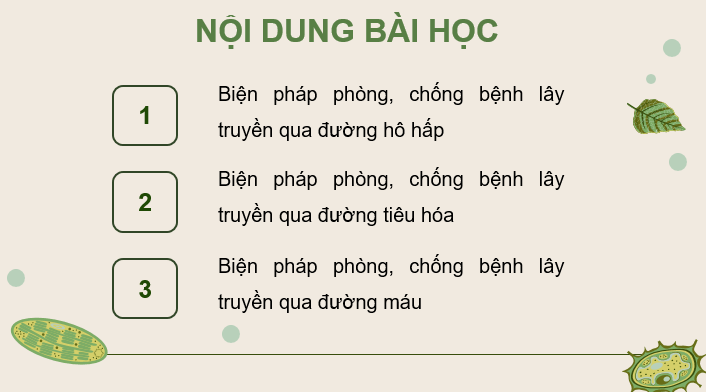 Giáo án điện tử Chuyên đề Sinh 11 Kết nối tri thức Bài 7: Các biện pháp phòng, chống bệnh dịch ở người | PPT Chuyên đề Sinh học 11