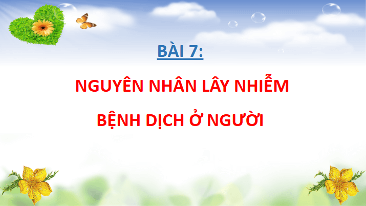 Giáo án điện tử Chuyên đề Sinh 11 Chân trời sáng tạo Bài 7: Nguyên nhân lây nhiễm bệnh dịch ở người | PPT Chuyên đề Sinh học 11