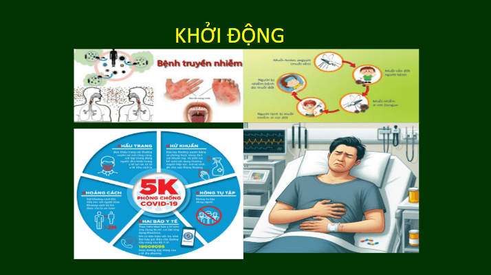 Giáo án điện tử Chuyên đề Sinh 11 Chân trời sáng tạo Bài 8: Các biện pháp phòng chống bệnh dịch phổ biến ở người | PPT Chuyên đề Sinh học 11